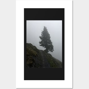 Solitary tree on a misty mountain top Posters and Art